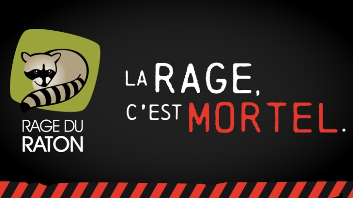 Rage du raton laveur: demeurons vigilants