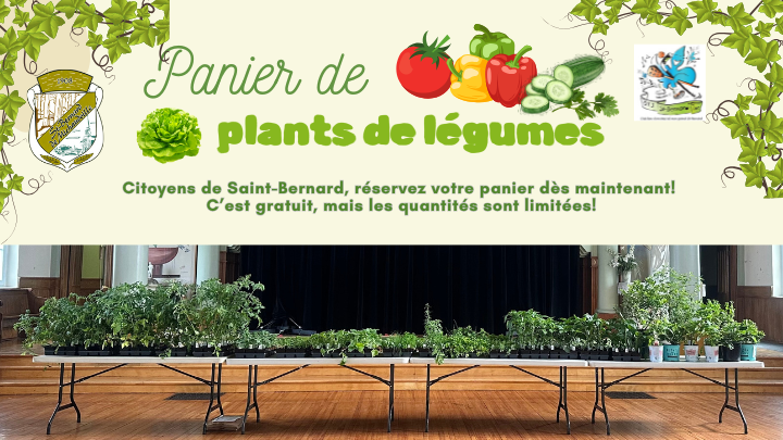 Distribution de plants de légumes: citoyens de Saint-Bernard, inscrivez-vous!